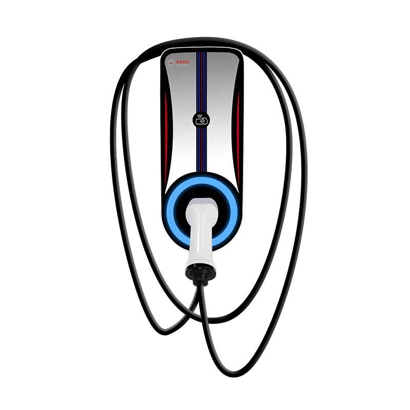 Внутрішній зарядний пристрій 24 В 100 А для низькошвидкісних транспортних засобів